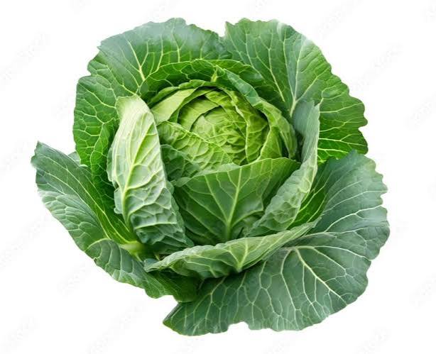 cabbage